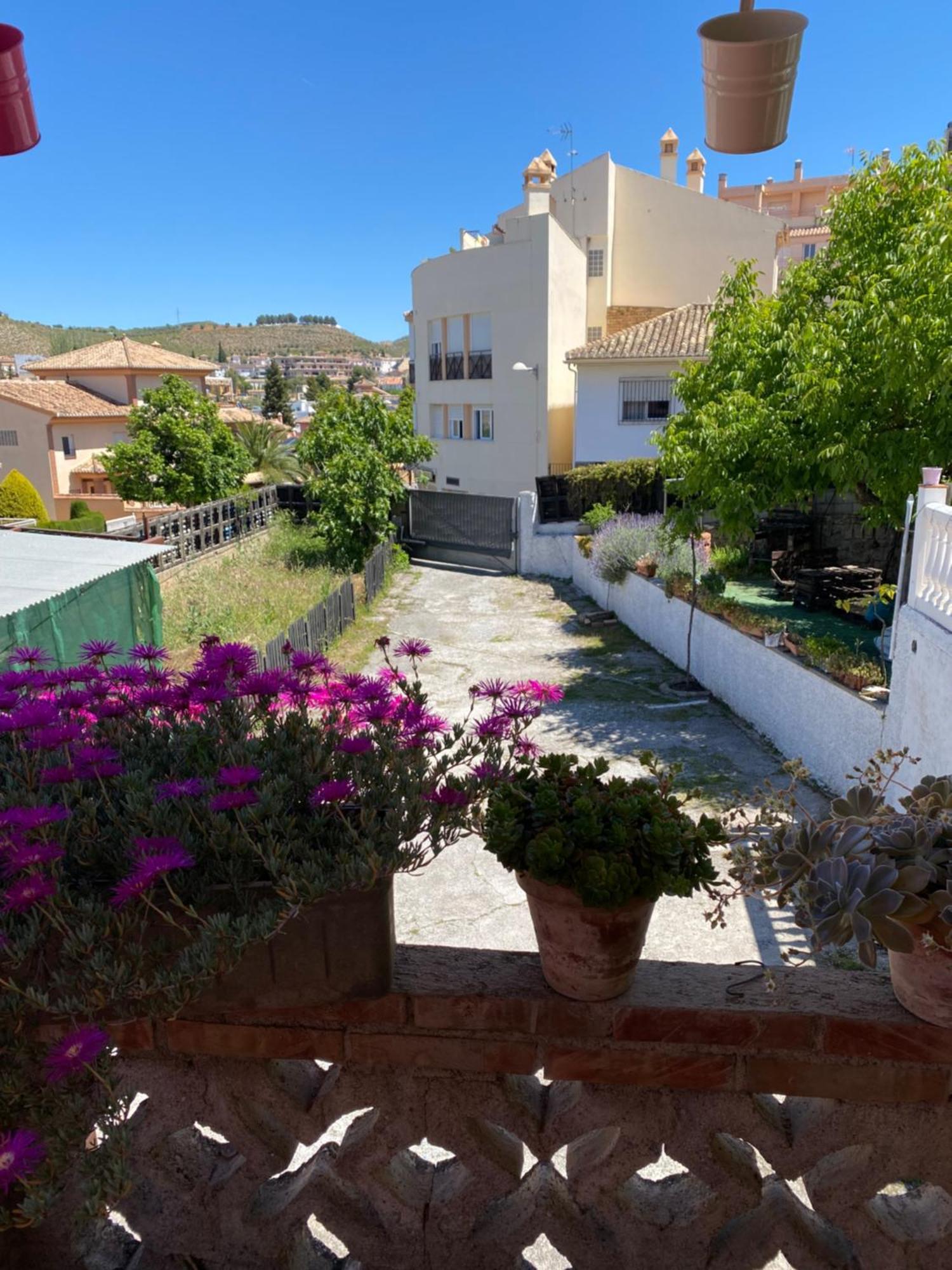Casita Rural La Rosa De La Huerta Con Chimenea Interior Lägenhet Monachil Exteriör bild